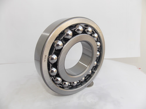 Classy 1309 Bearing